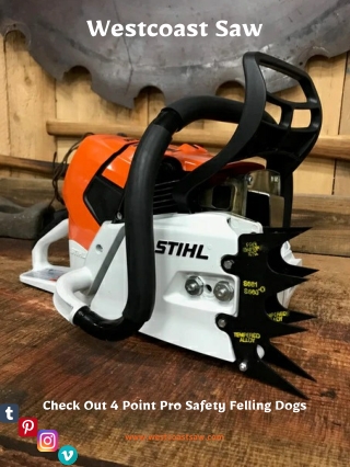 Check Out 4 Point Pro Safety Felling Dogs - Westcoast Saw