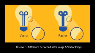 Discover – Difference Between Raster Image & Vector Image