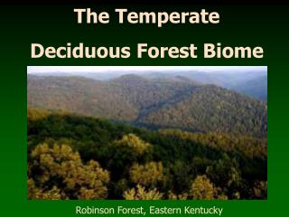 The Temperate Deciduous Forest Biome