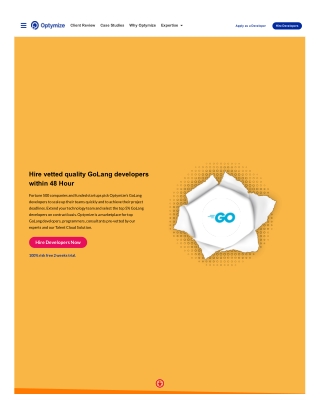 Hire vetted quality GoLang developers within 48 Hour