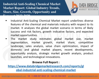 Global Industrial Anti-Scaling Chemical