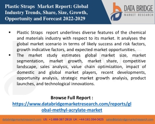 Global Plastic Straps Market