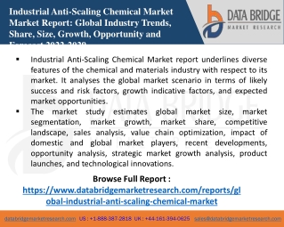 Global Industrial Anti-Scaling PDF