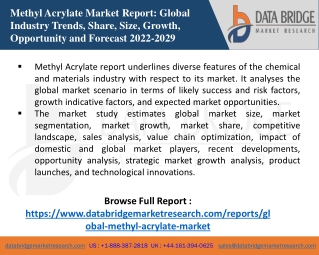 Methyl Acrylate Market
