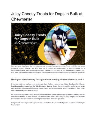 Juicy Cheesy Treats for Dogs in Bulk at Chewmeter