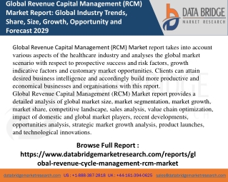 Global Revenue Capital Management (RCM) Market Pdf