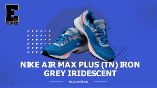 Nike Air Max Plus (TN) Iron Grey Iridescent