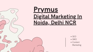 digital marketing agency in noida, delhi ncr - prymus