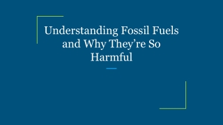 Understanding Fossil Fuels and Why They’re So Harmful