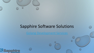 Golang Development Services | Sapphire Software Solutions