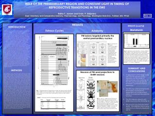 ROLE OF THE PREMAMILLARY REGION AND CONSTANT LIGHT IN TIMING OF REPRODUCTIVE TRANSITIONS IN THE EWE Heiko T. Jansen and
