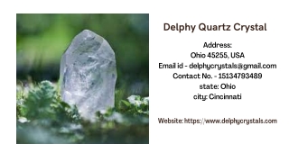 Delphy Quartz Crystal