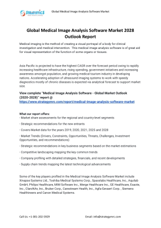 2022 Medical Image Analysis Software Industry Global Analysis Report