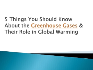 5 Things You Should Know About the Greenhouse Gases and Their Role in Global Warming