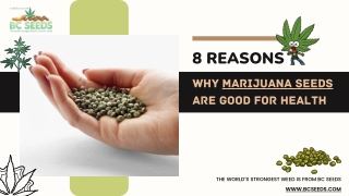8 Reasons Why Marijuana Seeds Are Good For Health