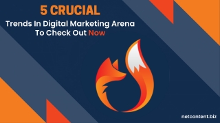 All About The Key Innovations In Digital Marketing Domain