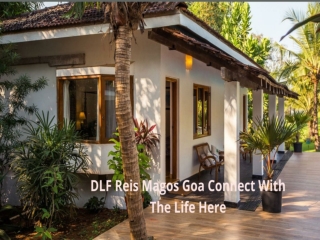 DLF Ries Magos Goa Extent Your Happiness