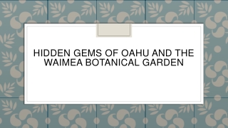 Hidden Gems of Oahu and the Waimea Botanical Garden
