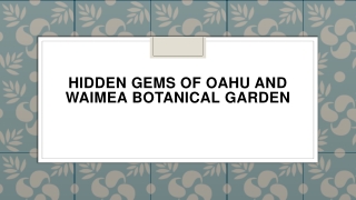 Hidden Gems of Oahu and Waimea Botanical Garden