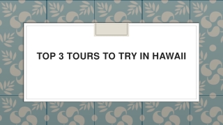 Top 3 Tours to Try in Hawaii