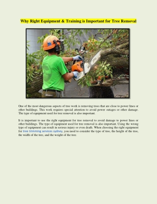 Why Right Equipment & Training is Important for Tree Removal