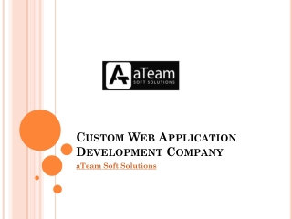 Hire Custom Web Application Development Company