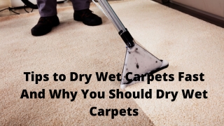 Tips to Dry Wet Carpets Fast And Why You Should Dry Wet Carpets