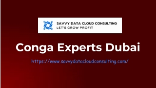 Conga Experts Dubai