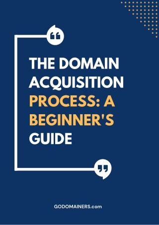 The Domain Acquisition Process A Beginner's Guide