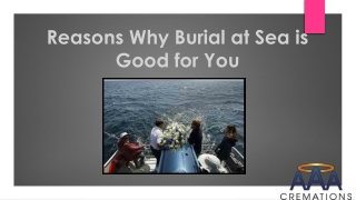Reasons Why Burial at Sea is Good for You