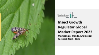 Insect Growth Regulator Market Trends, Growth Prediction, And Business Solutions