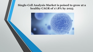 Single-Cell Analysis Market Competitive Landscape Analysis by 2025