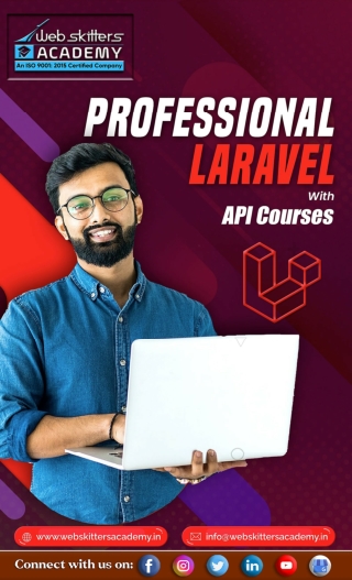 Professional Laravel With API