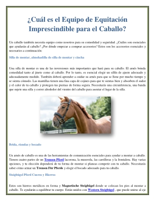 ¿Cuál es el Equipo de Equitación Imprescindible para el Caballo?