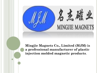 Top injection bonding magnets supplier in China