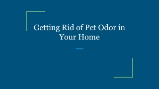 Getting Rid of Pet Odor in Your Home