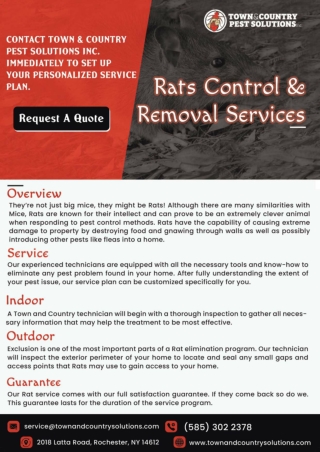 rats removal service