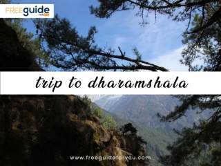Trip To Dharamshala – Top Things To Do In Mcleodganj