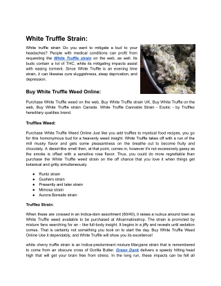 White Truffle Strain  Green Dank