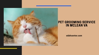 Pet Grooming Service in McLean VA
