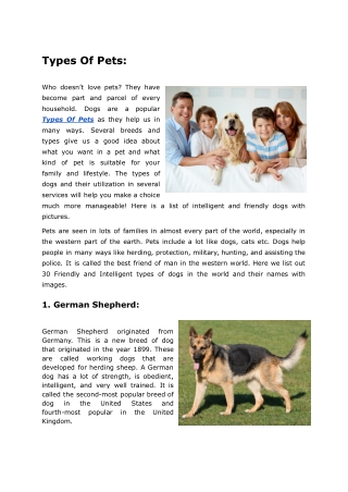 Top 10 Ranked Pets Breeds With Pictures 2022  Mutt Store Online