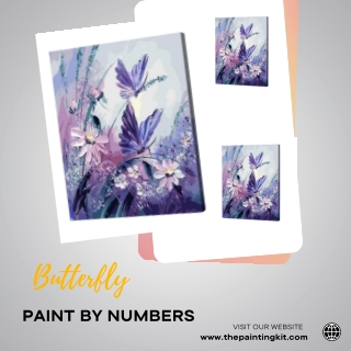 Butterfly Paint by Numbers