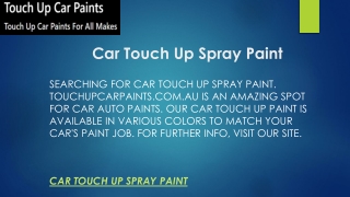 Car Touch Up Spray Paint  Touchupcarpaints.com.au