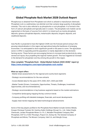2022 Phosphate Rock Industry Global Analysis Report
