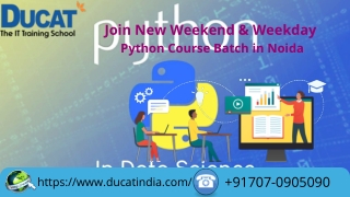 Best Python full stack developer in Noida