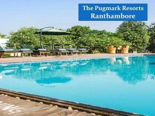 Weekend Getaways Near Jaipur | The Pugmark Resorts Ranthambore