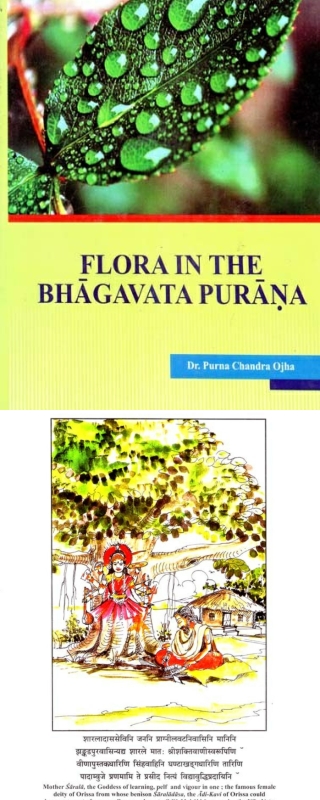 Books On Hindu Mythology And Puranas