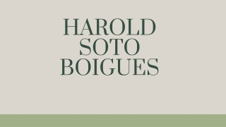 HAROLD SOTO BOIGUES