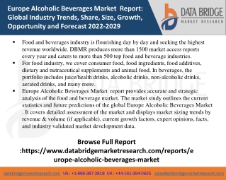 Europe Alcoholic Beverages Market   Pdf