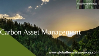 Carbon Asset Management-Global Forest Resources